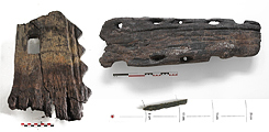 Vestiges ligneux de structures archéologiques - Site de la ZAC des Pins, Marck-en-Calaisis (62)