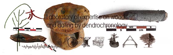 Home Page - Laboratory of expertise on wood and dating by dendrochronology