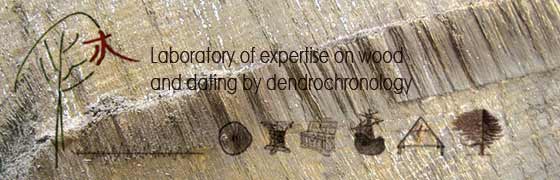 Home Page - Laboratory of expertise on wood and dating by dendrochronology