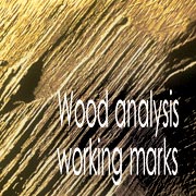 Wood analysis and working tool marks